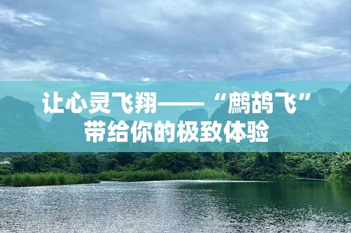 让心灵飞翔——“鹧鸪飞”带给你的极致体验
