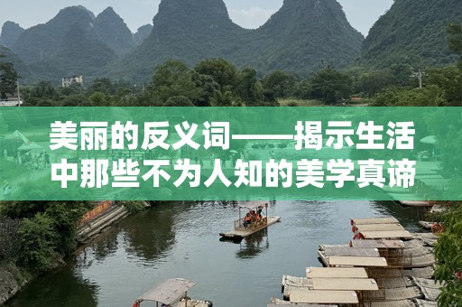 美丽的反义词——揭示生活中那些不为人知的美学真谛
