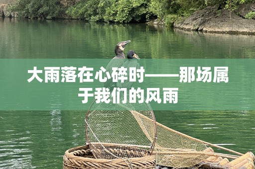 大雨落在心碎时——那场属于我们的风雨