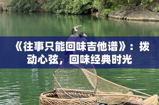 《往事只能回味吉他谱》：拨动心弦，回味经典时光