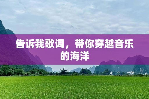 告诉我歌词，带你穿越音乐的海洋