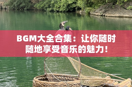BGM大全合集：让你随时随地享受音乐的魅力！