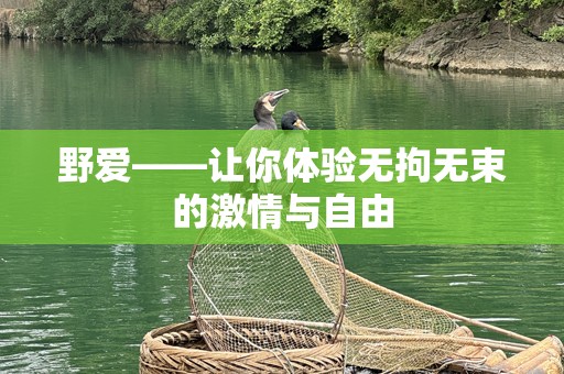 野爱——让你体验无拘无束的激情与自由