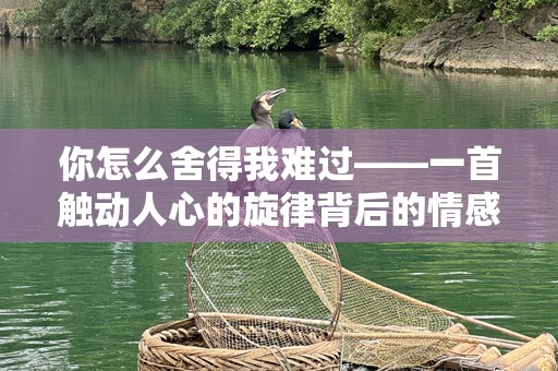 你怎么舍得我难过——一首触动人心的旋律背后的情感故事