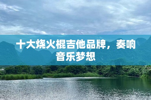 十大烧火棍吉他品牌，奏响音乐梦想