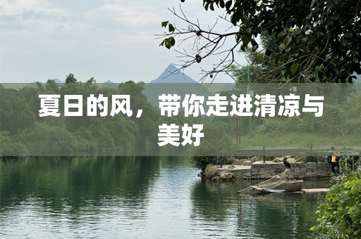 夏日的风，带你走进清凉与美好