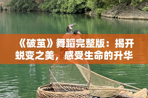 《破茧》舞蹈完整版：揭开蜕变之美，感受生命的升华