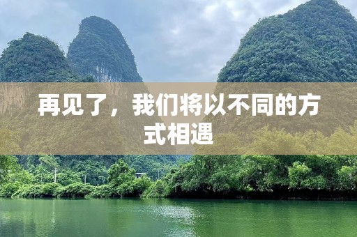 再见了，我们将以不同的方式相遇