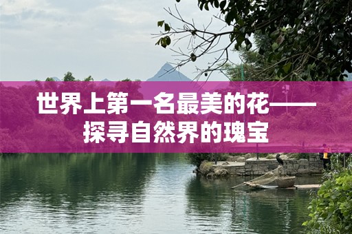 世界上第一名最美的花——探寻自然界的瑰宝