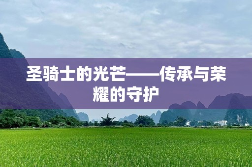 圣骑士的光芒——传承与荣耀的守护