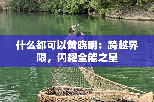 什么都可以黄晓明：跨越界限，闪耀全能之星