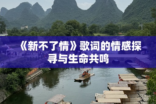《新不了情》歌词的情感探寻与生命共鸣