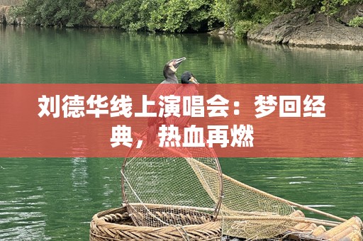 刘德华线上演唱会：梦回经典，热血再燃