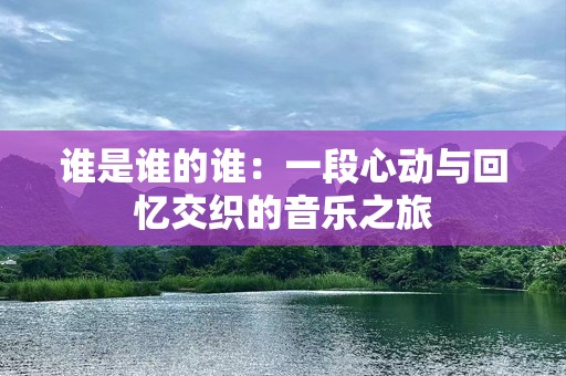 谁是谁的谁：一段心动与回忆交织的音乐之旅