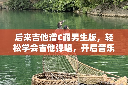 后来吉他谱C调男生版，轻松学会吉他弹唱，开启音乐之旅