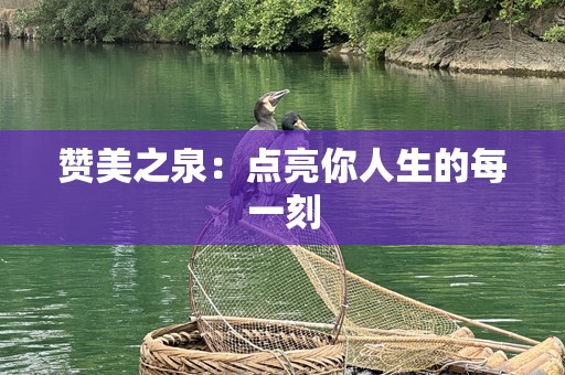 赞美之泉：点亮你人生的每一刻
