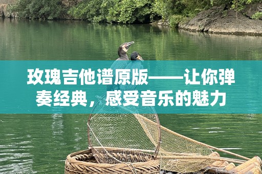 玫瑰吉他谱原版——让你弹奏经典，感受音乐的魅力