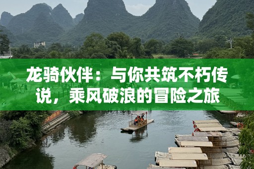龙骑伙伴：与你共筑不朽传说，乘风破浪的冒险之旅
