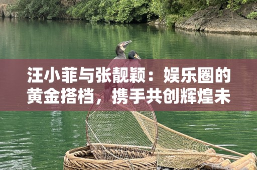 汪小菲与张靓颖：娱乐圈的黄金搭档，携手共创辉煌未来