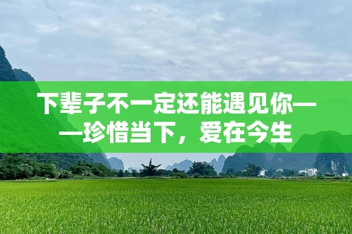 下辈子不一定还能遇见你——珍惜当下，爱在今生