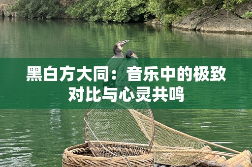 黑白方大同：音乐中的极致对比与心灵共鸣