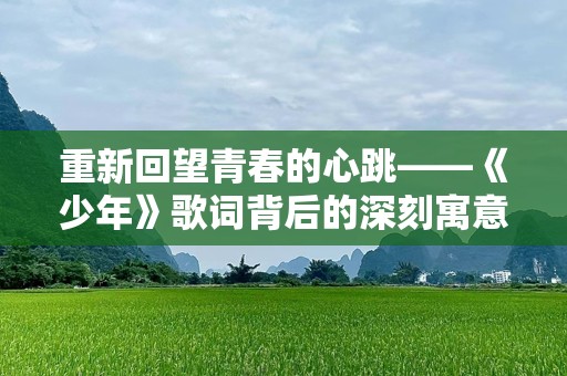 重新回望青春的心跳——《少年》歌词背后的深刻寓意