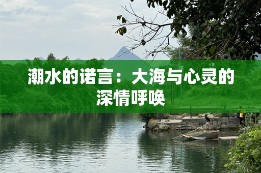 潮水的诺言：大海与心灵的深情呼唤