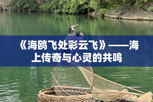 《海鸥飞处彩云飞》——海上传奇与心灵的共鸣
