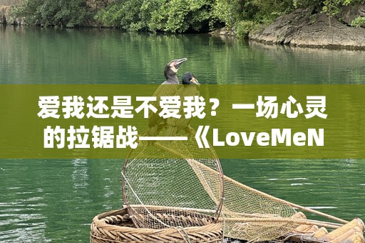 爱我还是不爱我？一场心灵的拉锯战——《LoveMeNot》探析