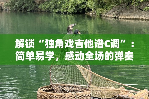 解锁“独角戏吉他谱C调”：简单易学，感动全场的弹奏技巧
