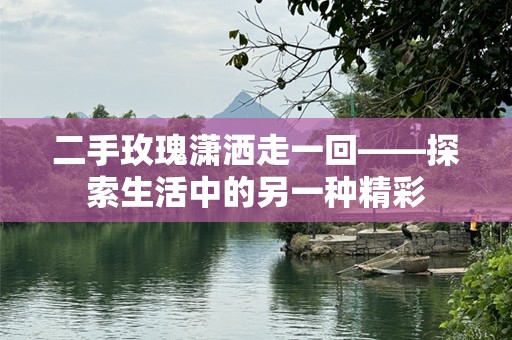 二手玫瑰潇洒走一回——探索生活中的另一种精彩