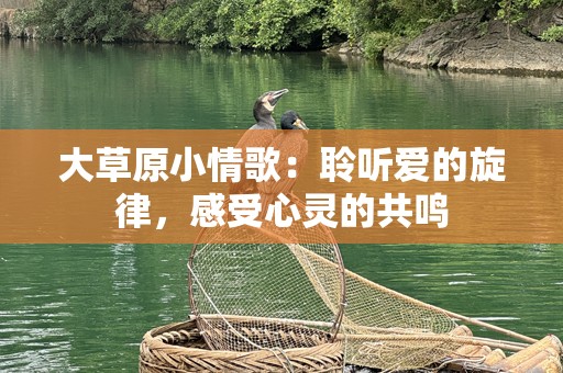 大草原小情歌：聆听爱的旋律，感受心灵的共鸣