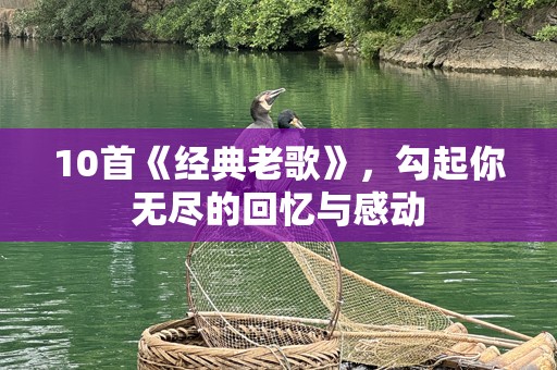 10首《经典老歌》，勾起你无尽的回忆与感动