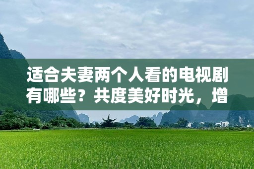 适合夫妻两个人看的电视剧有哪些？共度美好时光，增进感情的好选择！