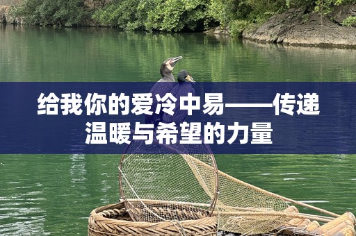 给我你的爱冷中易——传递温暖与希望的力量