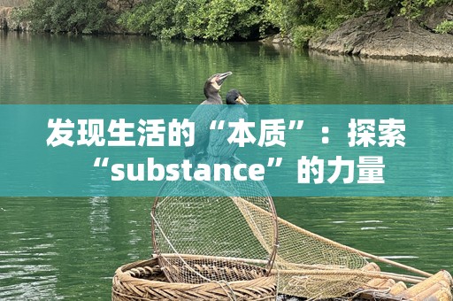 发现生活的“本质”：探索“substance”的力量