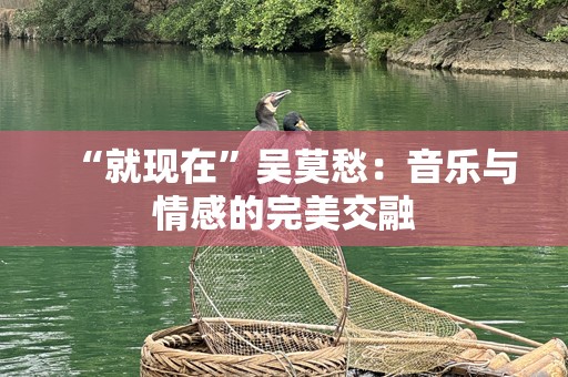 “就现在”吴莫愁：音乐与情感的完美交融