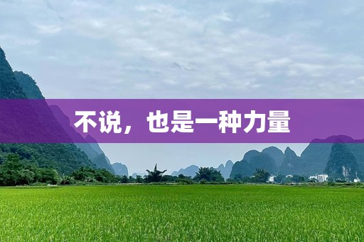 不说，也是一种力量