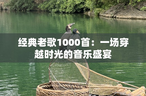 经典老歌1000首：一场穿越时光的音乐盛宴