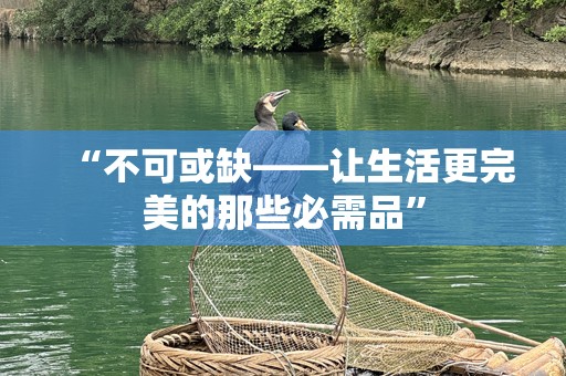 “不可或缺——让生活更完美的那些必需品”