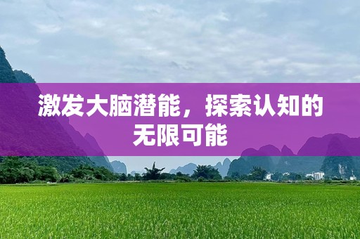 激发大脑潜能，探索认知的无限可能