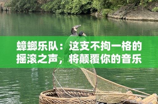 蟑螂乐队：这支不拘一格的摇滚之声，将颠覆你的音乐世界
