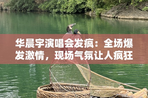 华晨宇演唱会发疯：全场爆发***，现场气氛让人疯狂！