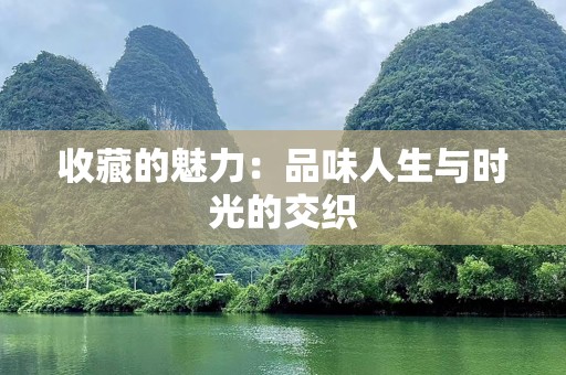 收藏的魅力：品味人生与时光的交织