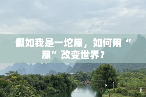 假如我是一坨屎，如何用“屎”改变世界？