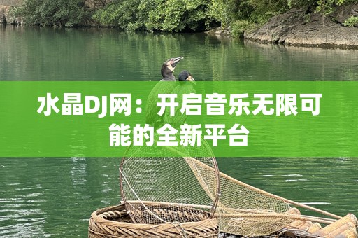水晶DJ网：开启音乐无限可能的全新平台