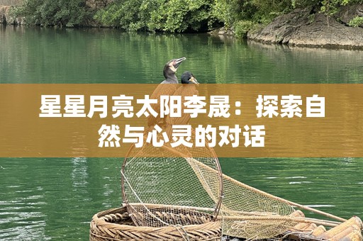 星星月亮太阳李晟：探索自然与心灵的对话
