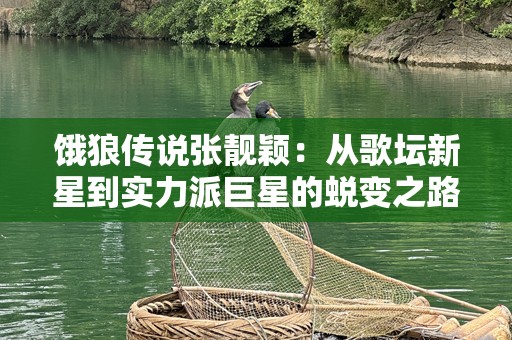 饿狼传说张靓颖：从歌坛新星到实力派巨星的蜕变之路