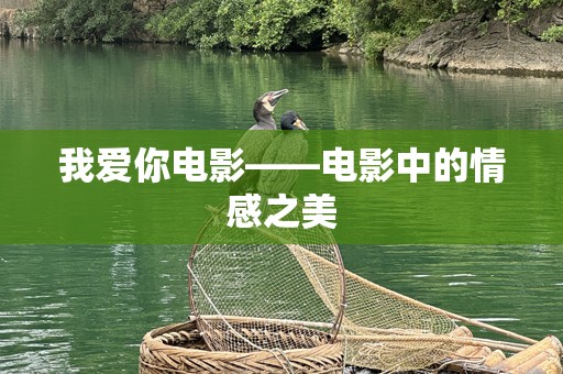 我爱你电影——电影中的情感之美