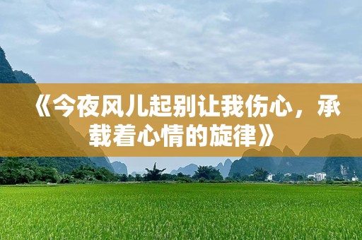 《今夜风儿起别让我伤心，承载着心情的旋律》